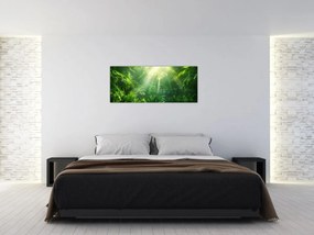 Obraz - Dažďový prales (120x50 cm)
