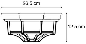 Vidiecke stropné svietidlo tmavosivá 26,5 IP44 - Bri