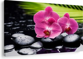 Obraz - Ružové orchidey s palmovým listom (90x60 cm)