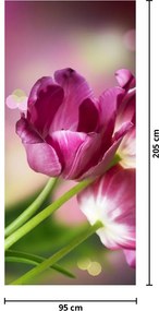Fototapeta na dvere - Ružové tulipány (95x205cm)