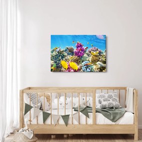 Obraz - Morský svet (90x60 cm)