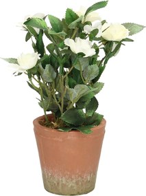 Dekorácie White Rose 24cm