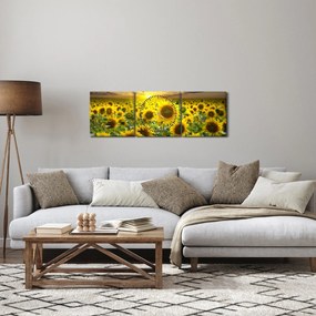 Obraz - Slnečnica pri západe slnka (s hodinami) (90x30 cm)