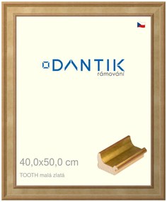 DANTIK rám na obraz 40x50 | TOOTH malá zlatá (Plexi Čiré)