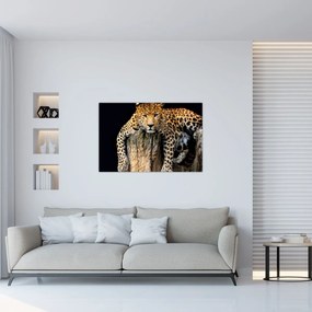 Obraz - Gepard (90x60 cm)