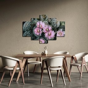 Obraz kvet kaktusu (150x105 cm)