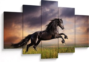 Obraz - Kone (150x105 cm)