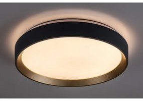 Rabalux 71185 - LED Stropné svietidlo LIATRIS LED/25W/230V 3000K pr. 38 cm