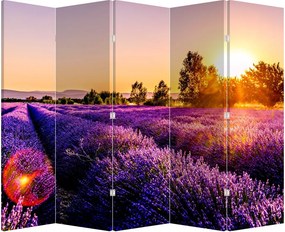 Paraván - Levanduľové polia (210x170 cm)