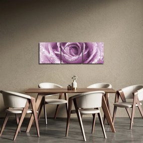 Obraz detailu kvetu ruže (s hodinami) (90x30 cm)