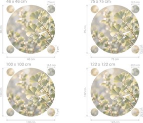 Vetvička ginkga v kruhu upokojujúce šalviové nálepky na stenu do obývačky arch 46 x 46 cm