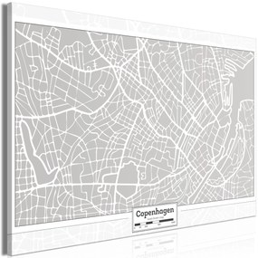 Artgeist Obraz - Capital of Denmark (1 Part) Wide Veľkosť: 60x40, Verzia: Premium Print