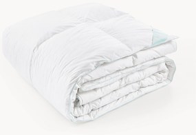 Páperový paplón Comfort, hrejivý