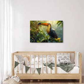 Obraz - Tukan (90x60 cm)