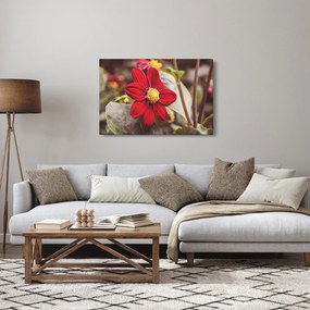 Obraz kvetiny (90x60 cm)
