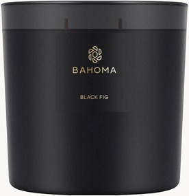 Vonná sviečka Black Fig (Fig, Aniseed, Green Leaf)
