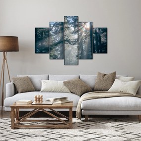 Obraz stromov s presvitajúcim slnkom (150x105 cm)