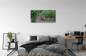 Obraz na plátne Tiger Woods 140x70 cm