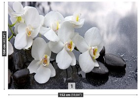 Fototapeta Vliesová Orchidea kamene 208x146 cm