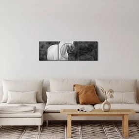 Obraz bieleho koňa na lúke, čiernobiela (s hodinami) (90x30 cm)