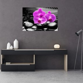 Obraz - Fialové orchidey (90x60 cm)