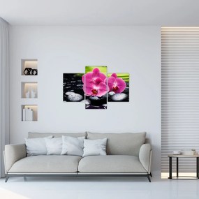 Obraz - Ružové orchidey s palmovým listom (90x60 cm)