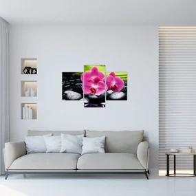 Obraz - Ružové orchidey s palmovým listom (90x60 cm)