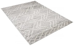 Kusový koberec shaggy Panta šedý 80x150cm