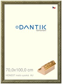 DANTIK rám na obraz 70x100 | HONEST malá vysoká AU (Plexi Čiré)