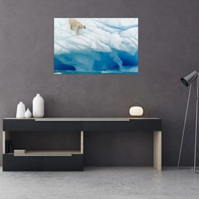 Obraz - Polárny medveď (90x60 cm)