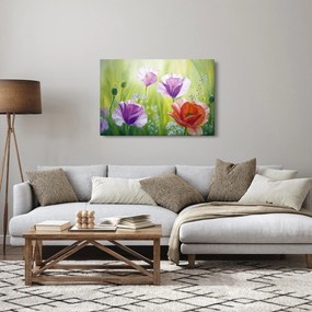 Obraz - Vlčie maky (90x60 cm)