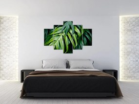 Obraz - Tropické listy (150x105 cm)