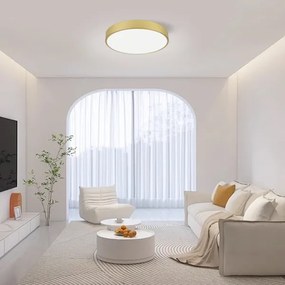 Immax NEO 07292L - LED+CCT stmievateľné stropné svietidlo SEMPLICI 36W/230V pr. 40 cm+DO