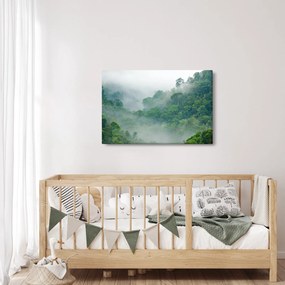 Obraz - Ranná hmla (90x60 cm)