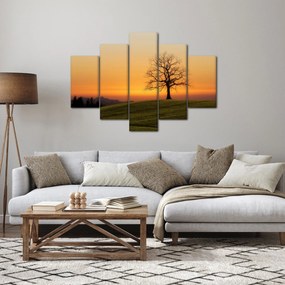 Obraz západu slnka na lúke (150x105 cm)