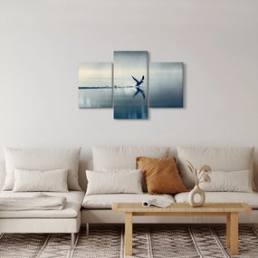 Obraz - Potáplica (90x60 cm)