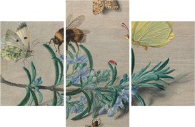 Obraz - Jan van Kessel the Elder, Insects and a Sprig of Rosemary, reprodukcia (90x60 cm)
