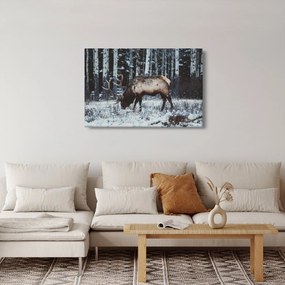 Obraz - jeleň v zime (90x60 cm)