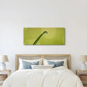 Obraz kvapky vody na tráve (120x50 cm)