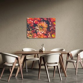 Sklenený obraz - Chryzantémy (70x50 cm)