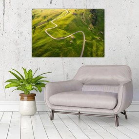Obraz - Náhorná lúka (90x60 cm)