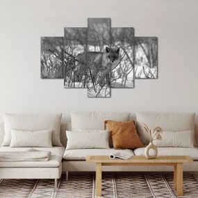 Obraz - Líška v zime (150x105 cm)