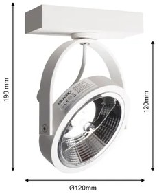 Nástenné bodové svietidlo LUGAR 1xAR111 - GU10/25W/230V
