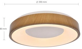 Brilagi - LED Stmievateľné stropné svietidlo DORIA LED/48W/230V 3000-6500K + DO