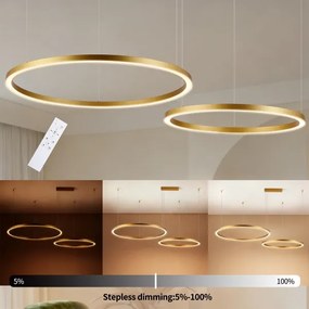 Brilagi - LED stmievateľný luster na lanku PORTOFINO LED/98W/230V zlatý +DO