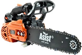 ASIST smart garden AB4P25-30 Reťazová píla 30 cm, 25,4 cm³