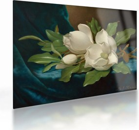 Sklenený obraz - Martin Johnson Heade, Giant Magnolias on a Blue Velvet Cloth, reprodukcia (70x50 cm)