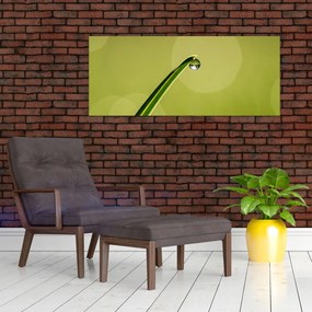 Obraz kvapky vody na tráve (120x50 cm)