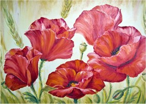 Obraz - Kvety vlčích makov (70x50 cm)