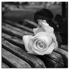 Obraz na plátne - Biela ruža na lavici - štvorec 3224QA (50x50 cm)